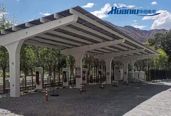 ������ܳ��׮һ�廯